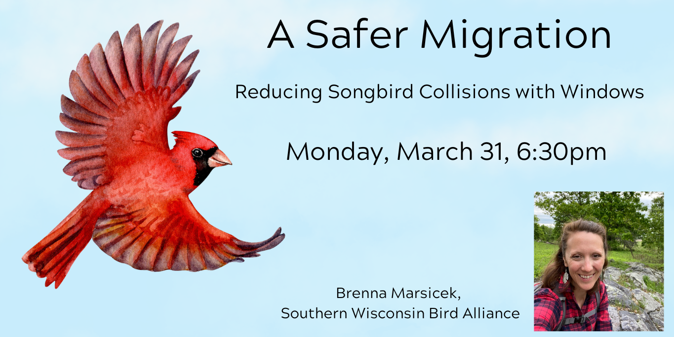 Reducing Songbird Collisions with Windows March 31, 6:30pm