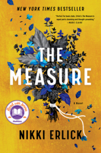 Picture of The Measure book cover